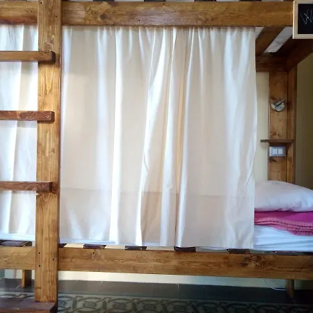- Homstel Hostel *