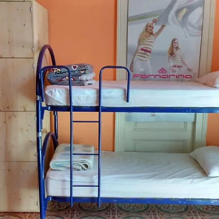 Hostel - Homstel *